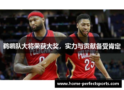 鹈鹕队大将荣获大奖，实力与贡献备受肯定